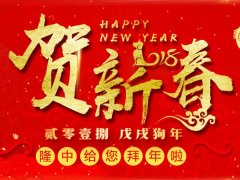 2018年3377体育春节放假通知